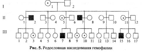 Принцип составления и анализа родословных. - student2.ru