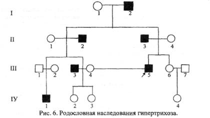 Принцип составления и анализа родословных. - student2.ru