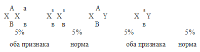 Явления сцепления генов. Кроссинговер - student2.ru