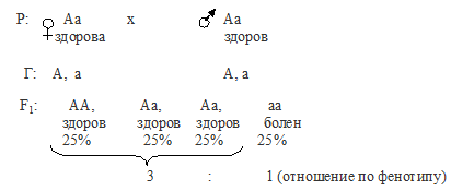 Задачи по генетике на неполное и полное доминирование - student2.ru