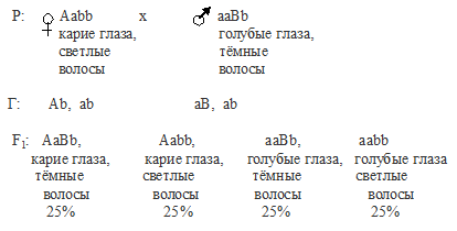 Задачи по генетике на неполное и полное доминирование - student2.ru