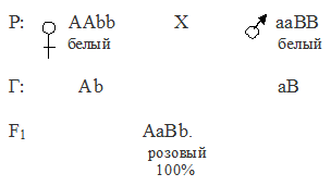 Задачи по генетике на Взаимодействие неаллельных генов. Комлементарность - student2.ru