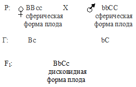 Задачи по генетике на Взаимодействие неаллельных генов. Комлементарность - student2.ru