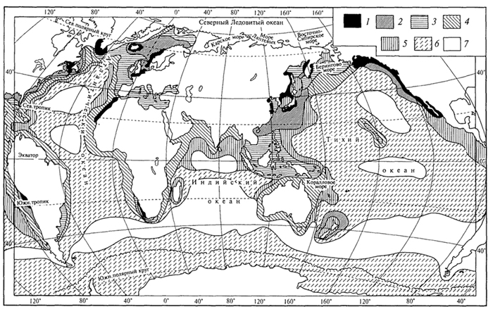 биогеографическое районирование океана - student2.ru