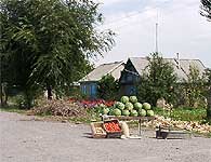 Евгений Сайков, 18.09.1971г. - student2.ru