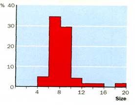 Fig. 7. Simple bar chart to show rainfall at a school weather station. Note how the bars are separated - student2.ru