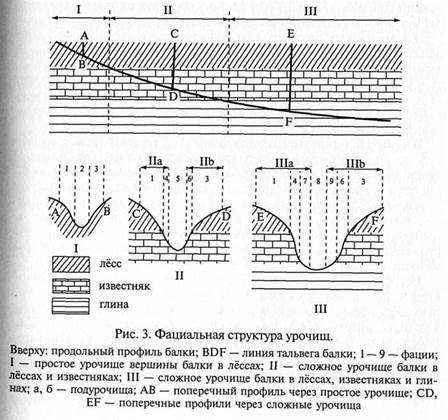 Географическая оболочка и природные территориальные комплексы - student2.ru