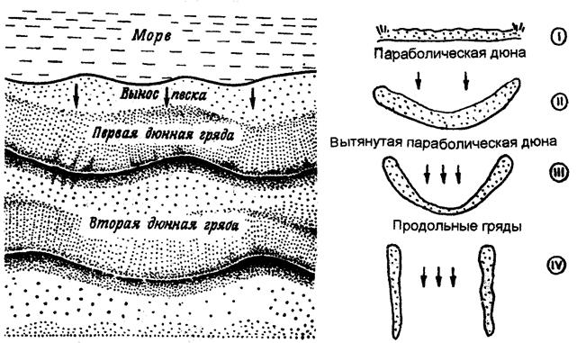 На схеме просматриваются аласы, байджерахи и механизм их образования при морозобойных процессах в связи с образованием жильных льдов - student2.ru