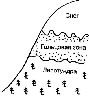 На схеме просматриваются аласы, байджерахи и механизм их образования при морозобойных процессах в связи с образованием жильных льдов - student2.ru