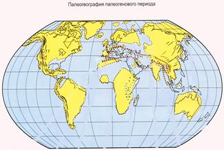 Начался 65 млн лет назад - student2.ru