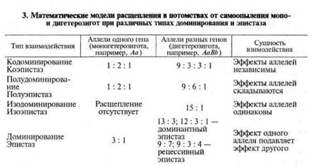 наследование качественных признаков - student2.ru