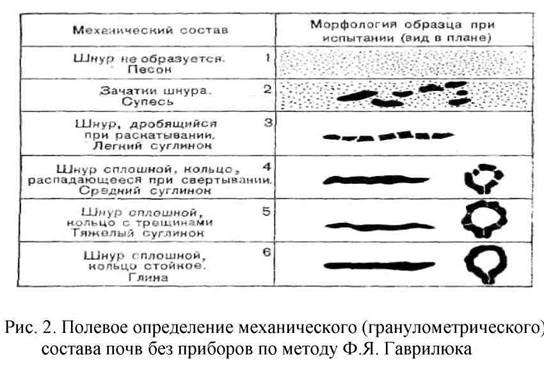 Описание почвенных горизонтов - student2.ru