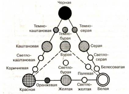 Описание почвенных горизонтов - student2.ru