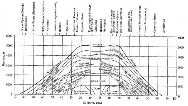 Поясно-зональные структуры - student2.ru