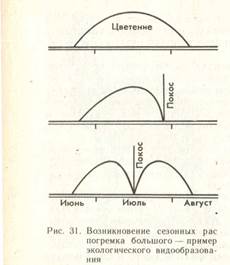 Приспособленность- результат действия факторов эволюции - student2.ru