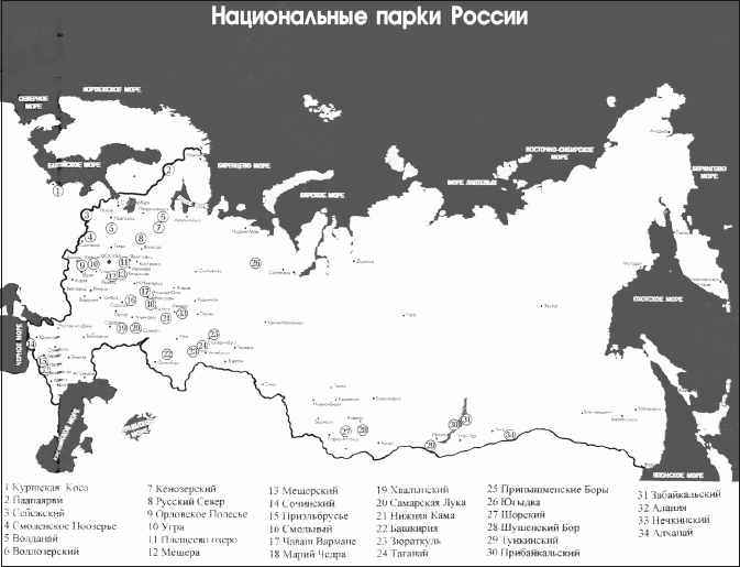 Развитие экологического туризма в стране - student2.ru