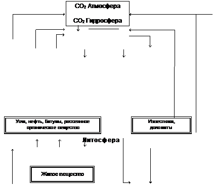 Структура и основные циклы биохимических круговоротов - student2.ru