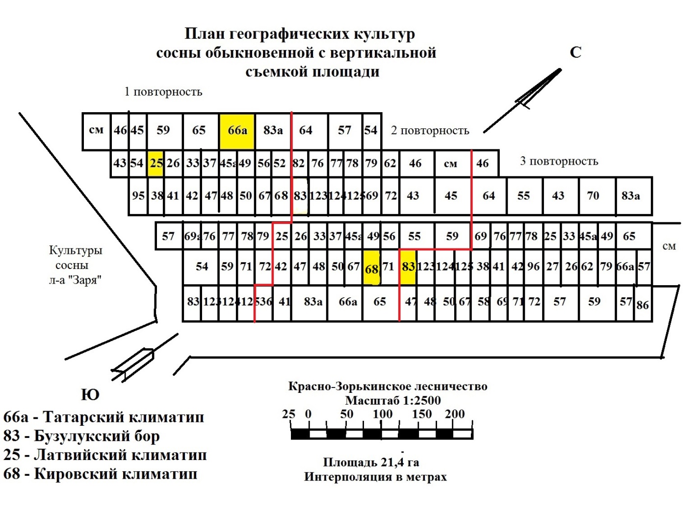 Технология создания культур - student2.ru