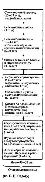 ускорение селекционного процесса - student2.ru