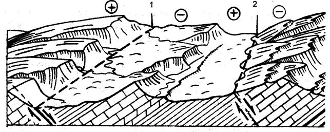 Устойчивые породы фундамента формируют контрастный рельеф. Речные долины узкие и глубоко врезанные - student2.ru