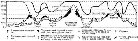 висота снігової лінії в андах - student2.ru