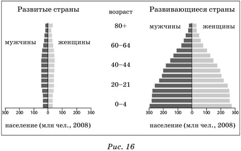 Возрастной и половой состав населения мира. Этногеография - student2.ru