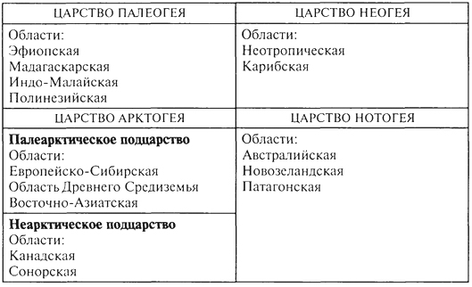 зоогеографическое деление суши - student2.ru