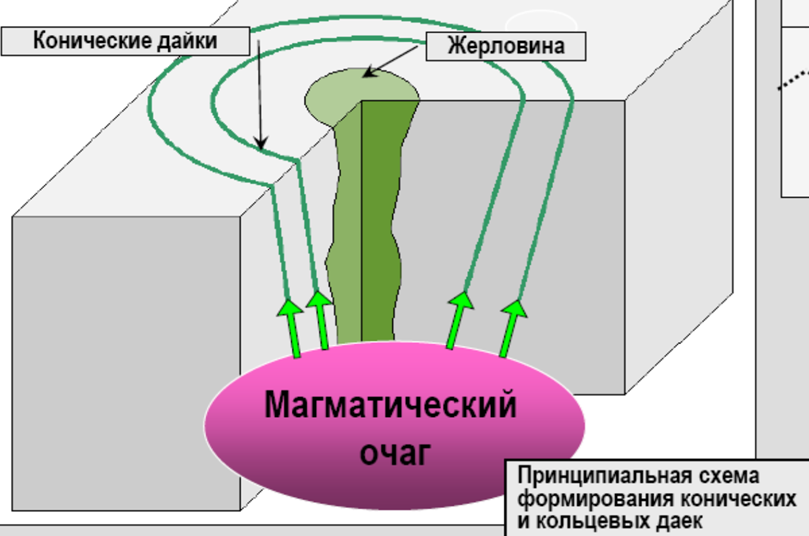 короткие, не выходят за пределы (прямолинейные, протяженные - student2.ru