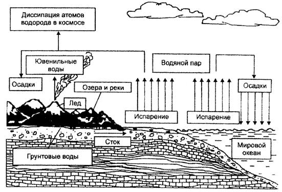 Опасные следствия эндогенных процессов - student2.ru