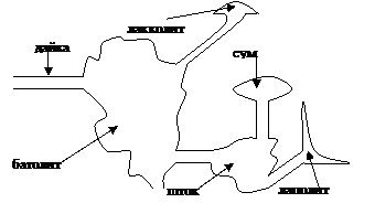 Q45) Формы залегания магматических горных пород - student2.ru