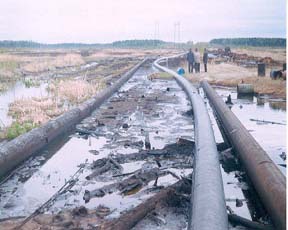 рекультивация нефтезагрязненных земель - student2.ru