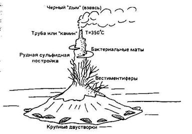 Эвстатические колебания уровня океана. - student2.ru