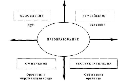 Модель преобразования бизнеса Ф. Гуияра и Д. Келли - student2.ru