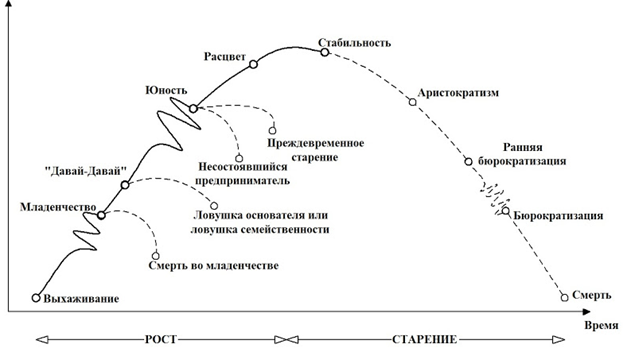 Модели жизненного цикла организации - student2.ru