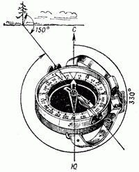 Особенности ориентирования в лесу - student2.ru