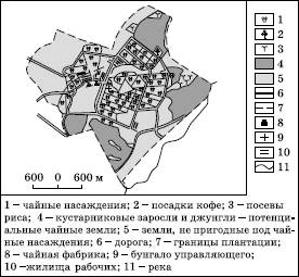 Рисовые» и «чайные» ландшафты в зарубежной Азии - student2.ru