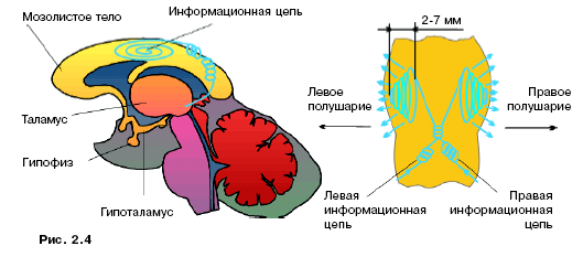 арсенал оперативной информации - student2.ru