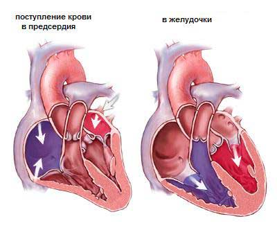 Диалог (At the doctor's) - student2.ru