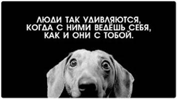 Февраля, 0:01. С годом обезьяны(по восточному календарю), бандерлоги! - student2.ru