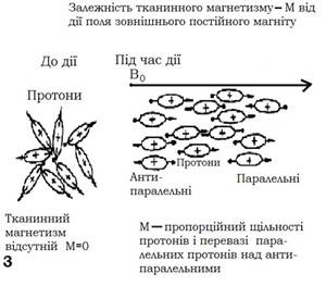 Физические основы магнитно-резонансной томографии (МРТ) - student2.ru