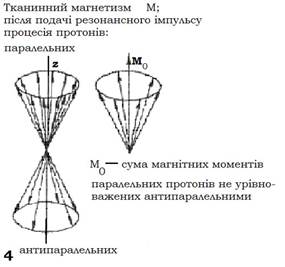 Физические основы магнитно-резонансной томографии (МРТ) - student2.ru