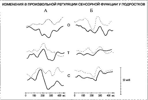 Функциональное состояние мозга подростков - student2.ru