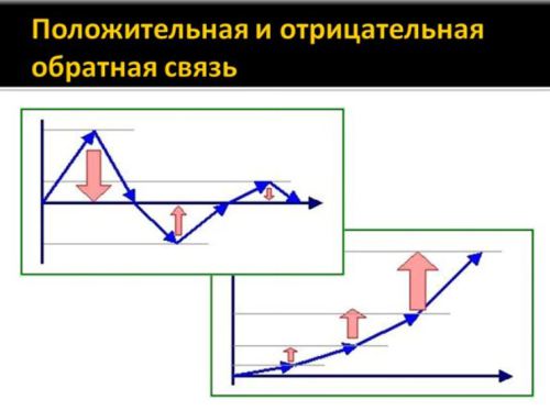 Главная деятельность тестировщиков - student2.ru