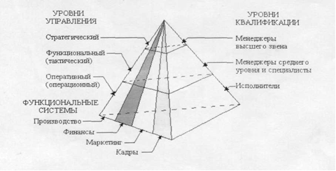 Информационный менеджмент - student2.ru