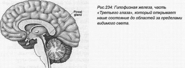 Космический корабль Луна 16 страница - student2.ru