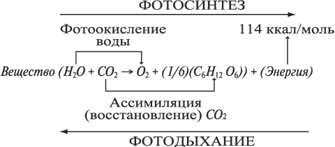 Лекция: Функционирование и развитие системы - student2.ru