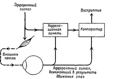 механизмы опережающего возбуждения - student2.ru