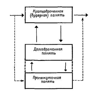 механизмы опережающего возбуждения - student2.ru