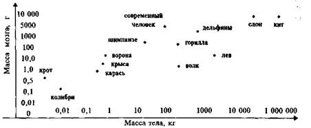 Мир любви. «Человек любящий» — homo amoris - student2.ru