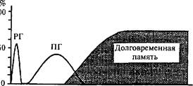 молекулярные механизмы пластичности - student2.ru